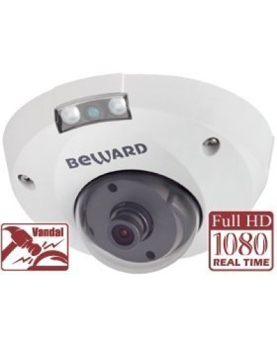 NK55630D8. IP-камера купольная. Beward в Норильске