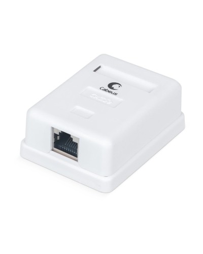WS-8P8C-Cat.5e-SH-1 (7485c): Розетка RJ-45 в Норильске