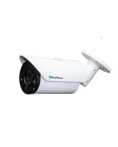 EZN-268V. Видеокамера IP купольная. EverFocus в Норильске