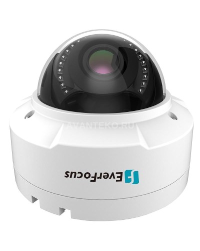EHN-1250. Видеокамера IP купольная. EverFocus в Норильске
