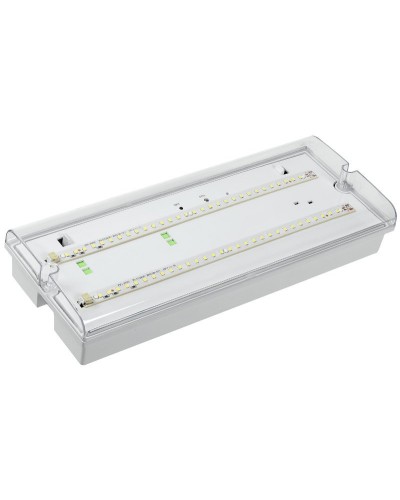 Светильник аварийный ДПА 5042-3 3ч IP65 LIGHTING (LDPA0-5042-3-65-K01). Светильник аварийный универсальный. IEK в Норильске