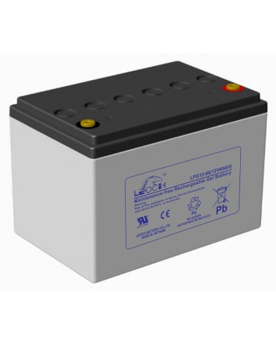 LEOCH LPG 12-60. Аккумулятор герметичный свинцово-кислотный. LEOCH в Норильске