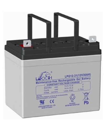 LEOCH LPG 12-31. Аккумулятор герметичный свинцово-кислотный. LEOCH в Норильске