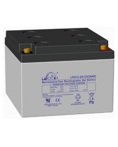 LEOCH LPG 12-24. Аккумулятор герметичный свинцово-кислотный. LEOCH в Норильске