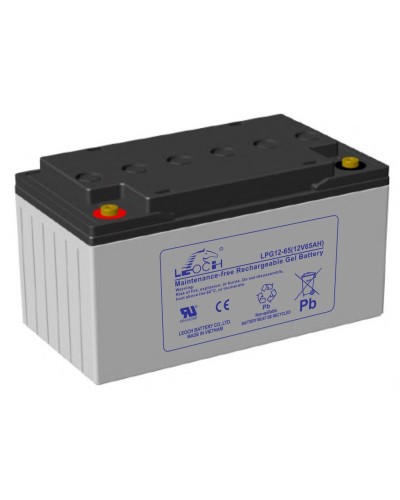 LEOCH LPG 12-65. Аккумулятор герметичный свинцово-кислотный. LEOCH в Норильске