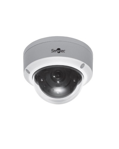 STC-IPMA5520A/1. Видеокамера IP купольная. Smartec в Норильске