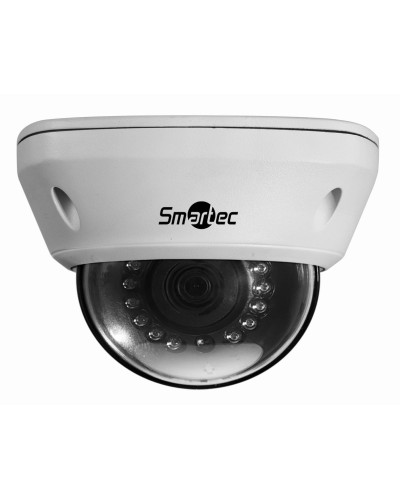 STC-IPM5591/1. Видеокамера IP купольная. Smartec в Норильске