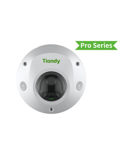 TC-C32PS I3/E/Y/M/H/2.8/V4.2. Видеокамера IP купольная. Tiandy в Норильске