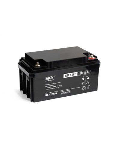 SKAT SB 1265 (2541). Аккумулятор герметичный свинцово-кислотный. Бастион в Норильске