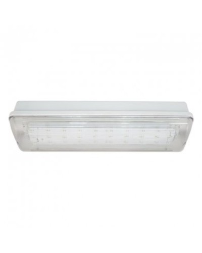 SL-223-30LED1.8 исп. 1, IP65. Светильник аварийного освещения. ИП Раченков А.В. в Норильске
