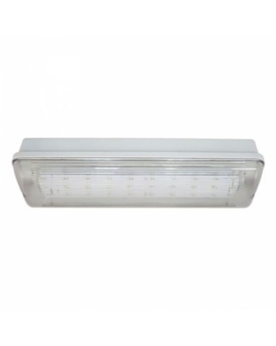 SL-213-30LED1.8 исп.1 IP54. Светильник аварийного освещения. ИП Раченков А.В. в Норильске