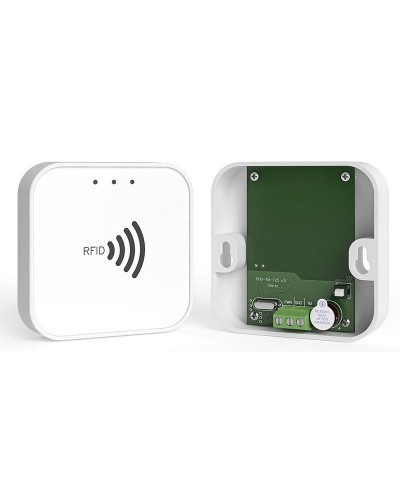 RFID-TM. Считыватель RFID. Ритм в Норильске
