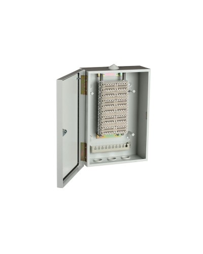 ШРН-В/100-Р (120908-00122). Шкаф ШРН-В/100-Р, плинт ПВТ-10Р-5е. ССД (Связьстройдеталь) в Норильске